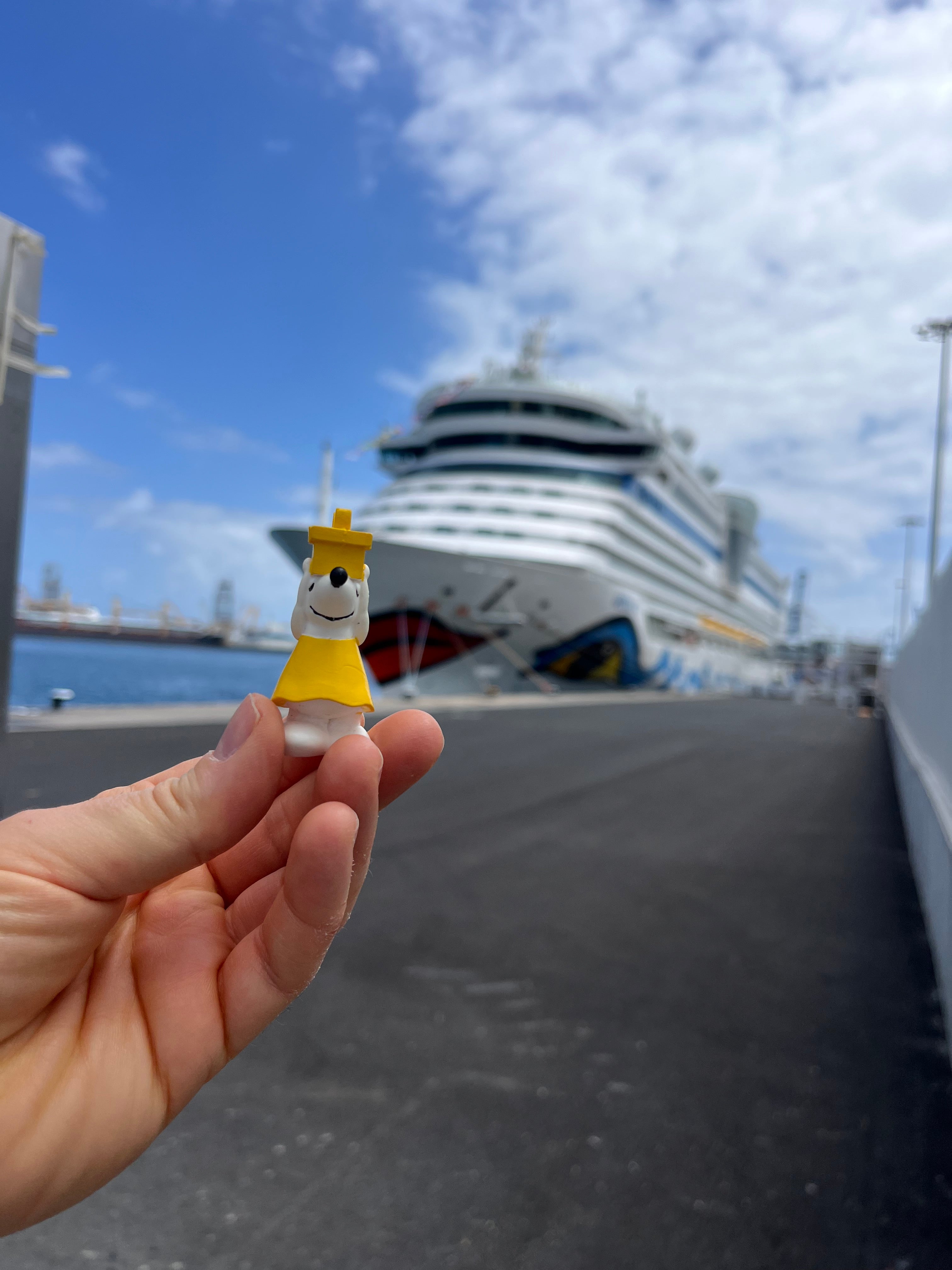 🚢 Manfred auf großer Seereise mit der AIDAluna 🌊