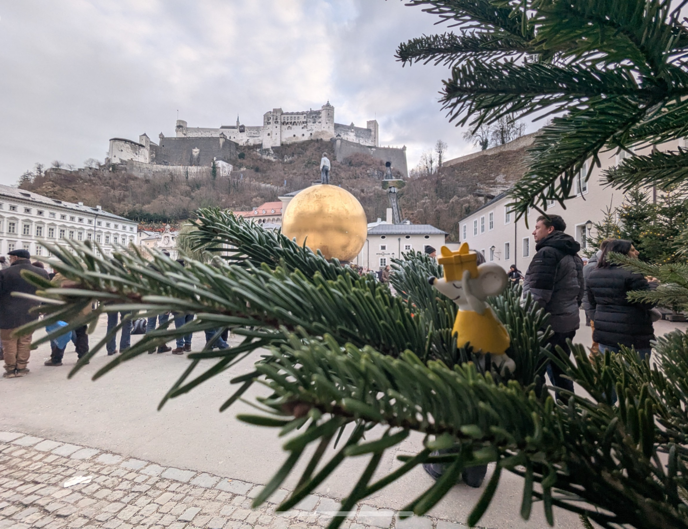 🎄 Manfred im Adventszauber – unterwegs in der Mozartstadt 🇦🇹
